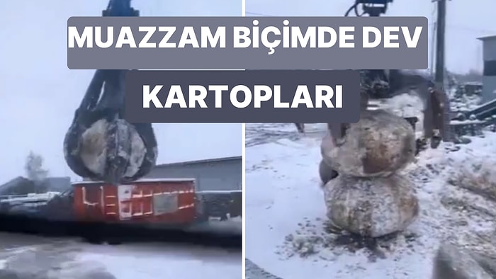 Kardan Adam Yapan Bu İş Makinesi Bu Soğuk Kış Günlerinde Gününüzü Renklendirecek!