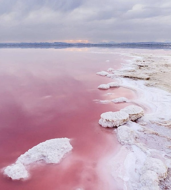 2. Salina De Torrevieja Pembe Gölü - İspanya