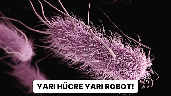 Bilim İnsanları Yarı Canlı 'Cyborg' Hücreleri Yaratmayı Başardılar!