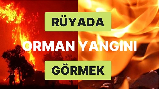 Rüyada Orman Yangını Görmek: Yakın Zamanda Bir Zarara Uğrayabilirsiniz!