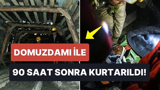 90 Saat Sonra Gelen Mucize: Domuzdamı Yöntemiyle Kurtarıldı! Domuzdamı Tahkimatı Nedir, Nasıl Kullanılır?