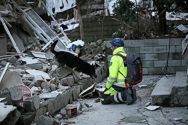 10 ilde büyük yıkıma yol açan bu deprem, son zamanların en yıkıcı doğal afetlerinden biri olarak görülüyor. Deprem bölgesinde ise halen daha arama kurtarma çalışmaları devam ediyor.
