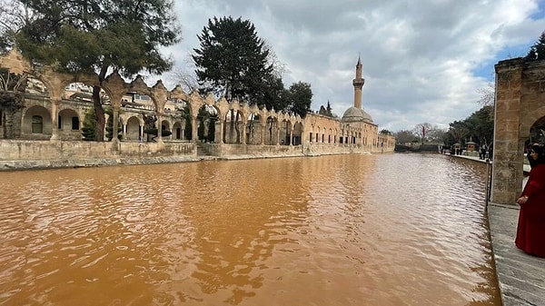 Balıklıgöl Çevre Koruma Vakfı Müdürü Siracettin İlhan; ''Yer altı sularının depremler nedeniyle çok hareketli olmasından kaynaklanan sebeple su çamurlu vaziyette geliyor.'' diyerek açıklama yaptı.