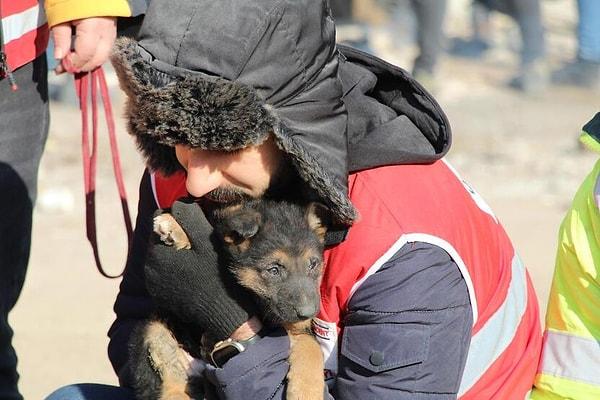 Diyarbakır'da afetin 124. saatinde sabah ezanı sırasında bir köpek uğultusu duyuldu. Sesi duyan ekipler anne ve 2 yavrusunu enkazdan kurtardı.