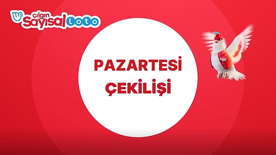 Sayısal Loto Sonuçları Açıklandı! 13 Şubat Sayısal Loto Sonuç Ekranı ve Kazandıran Numaralar