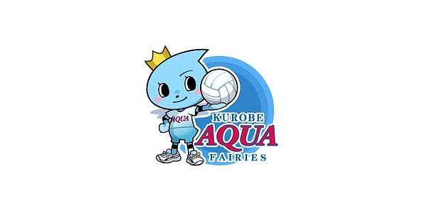 3. Kurobe AquaFairies takımında hangi voleybolcumuz oynamaktadır?