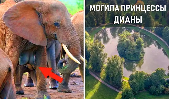 20 непостижимых фото, которые взорвут даже самые умные головы и покажут мир во всей красе