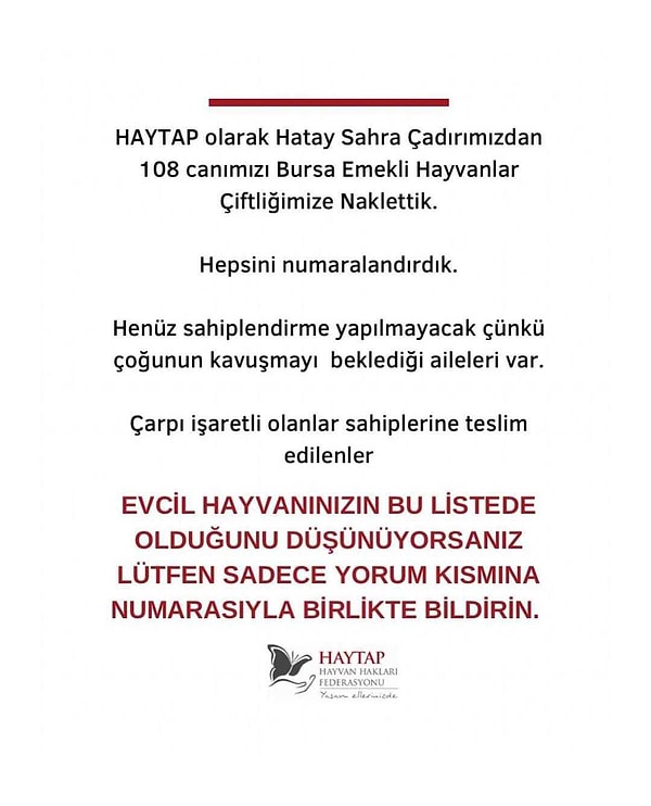 HAYTAP Twitter hesabı üzerinden sahiplerine ulaşılamayan evcil hayvanlar için bir duyuruda bulundu.