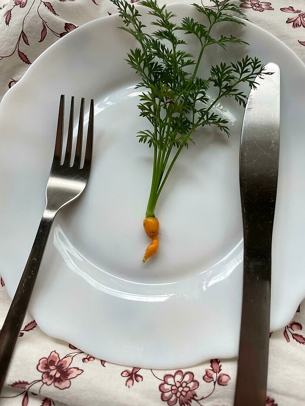 За три с половиной месяца вырастили такого зверя, как раз к ежегодному Пасхальному празднику в нашей деревне