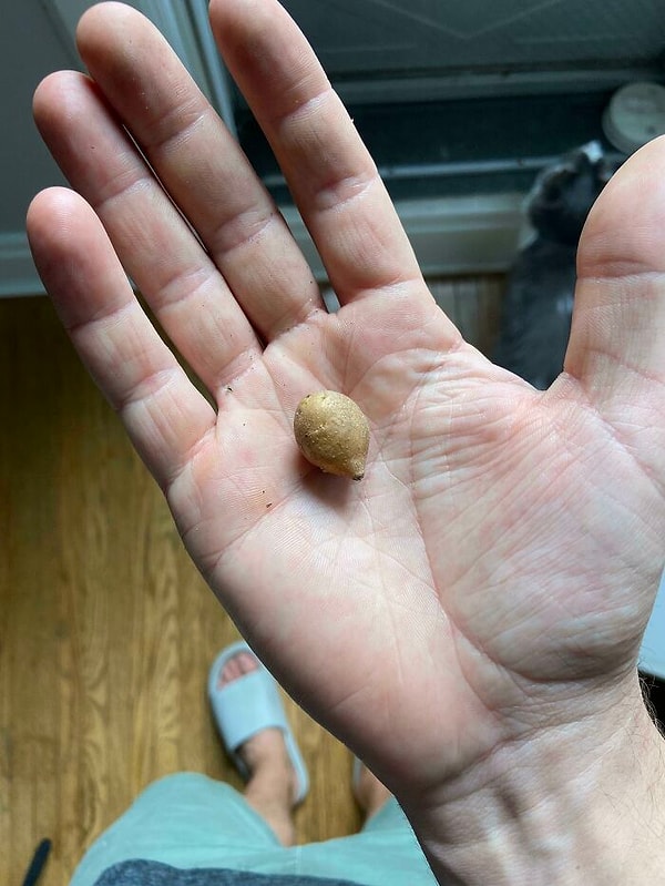 О, тут картошки на целую пачку чипсов