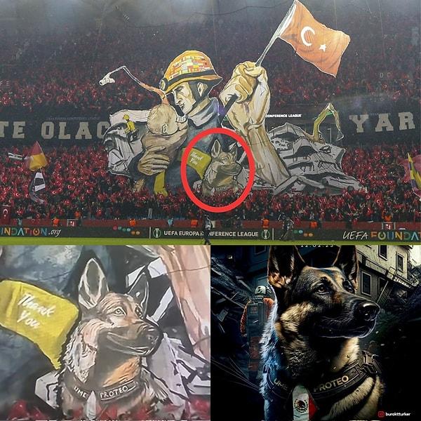 Trabzonspor tribünleri de Proteo'yu unutmadı ve gösterdiği kahramanlığı onurlandırdı...