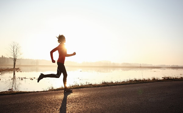 19. ПРАВДА или ЛОЖЬ: «Лучевая» кость находится в ноге.