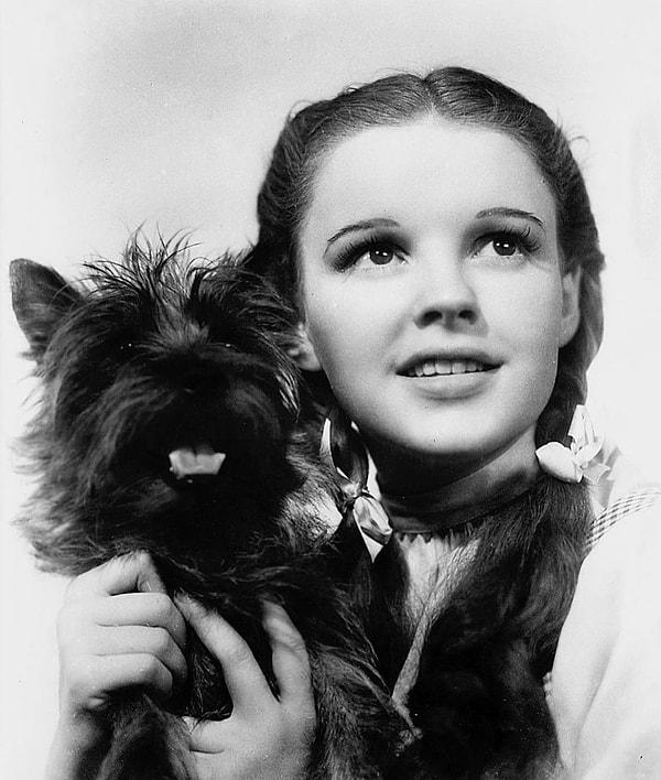 14. Efsane Judy Garland ve Toto, "Oz Büyücüsü" filminin setinde. (1939)