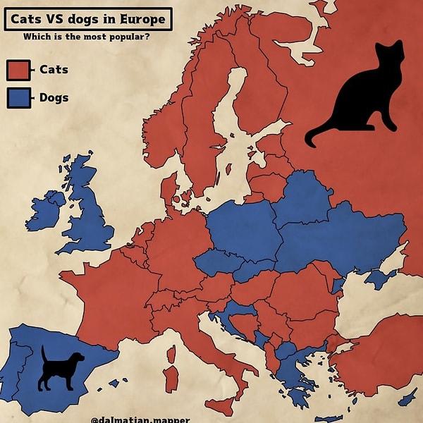 12. "Ülkelerin favori evcil hayvanı: Kedi vs. köpek"