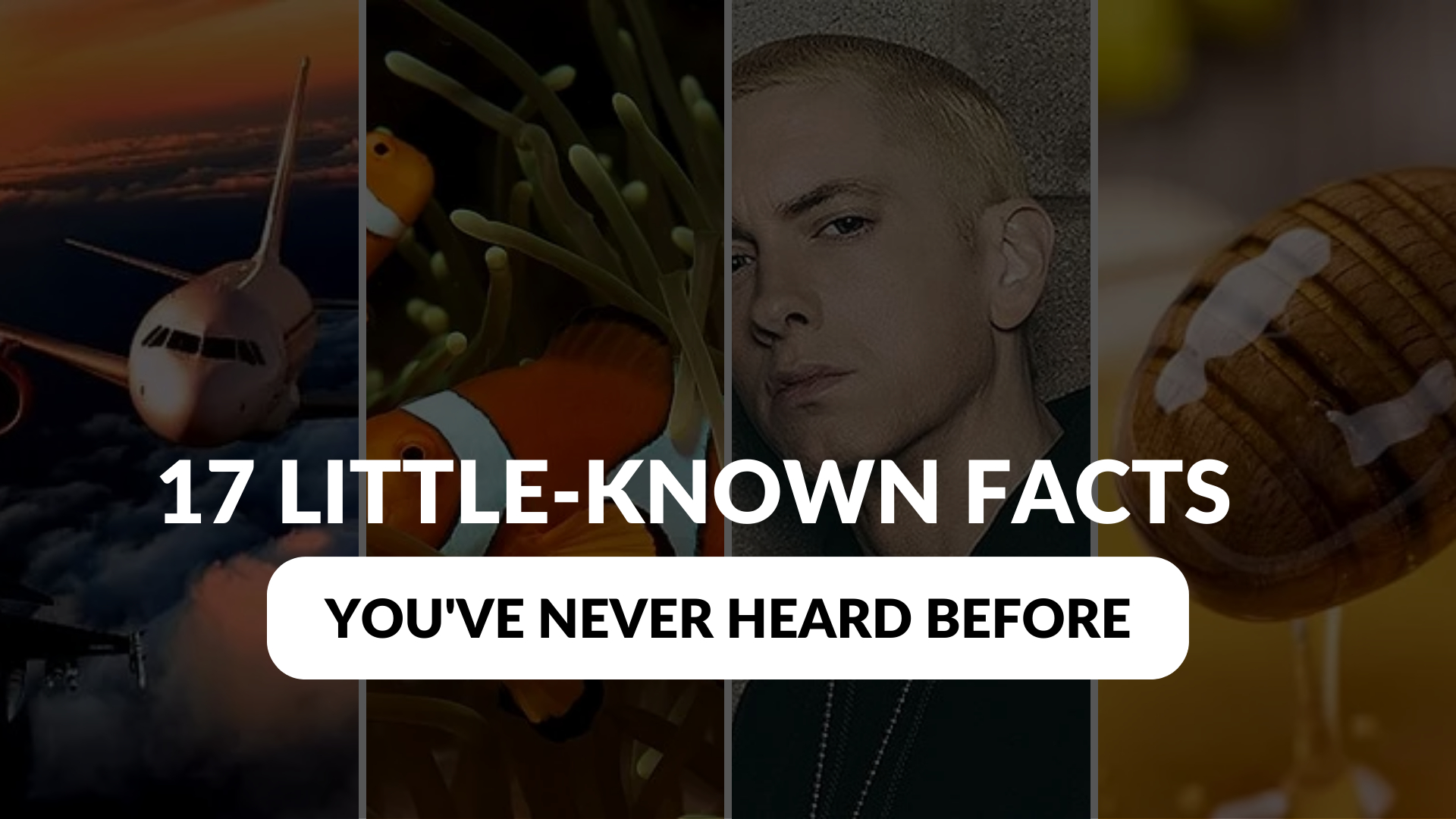 Discover 17 LittleKnown Facts You've Never Heard of Before Onedio