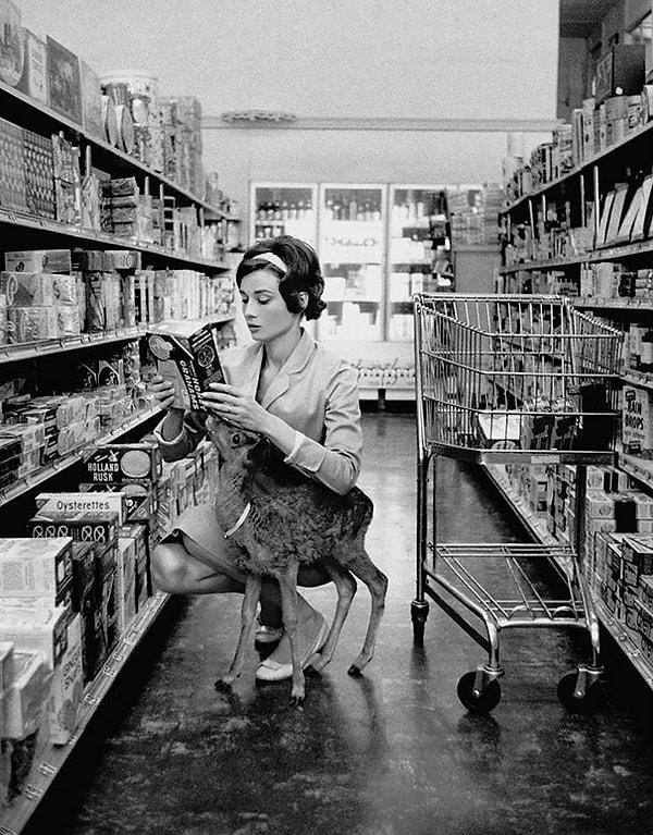 11. Audrey Hepburn 1958 yılında Beverly Hills'te evcil hayvanı yavru geyiği ile alışveriş yapıyor.