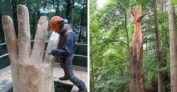 1. Galler'deki en uzun ağaç yıldırımdan zarar gördü ve bir sanatçı ağacın gökyüzüne son ulaşma girişiminin bir sembolü olarak bunu yapmaya karar verdi 👇