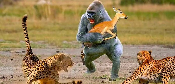 15. Спасатели Малибу!