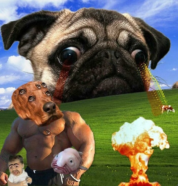 12. Знаменитые обои Windows XP уже не будут прежними!