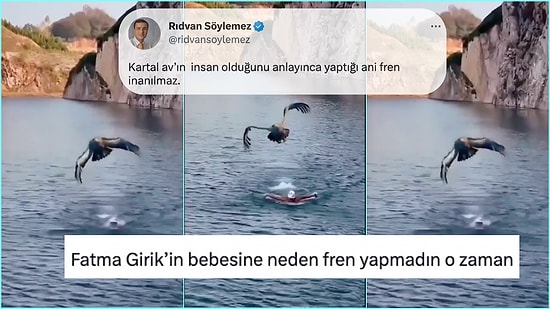 Bir Kartalın Uçarken Fren Yaptığına İnanan Çevre ve Orman Derneği Başkanına Gelen İronik Tepkiler