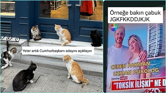 Kedilerin Cumhurbaşkanı Adayından Meşhur Toksik İlişki Örneklerine Son 24 Saatin Viral Tweetleri