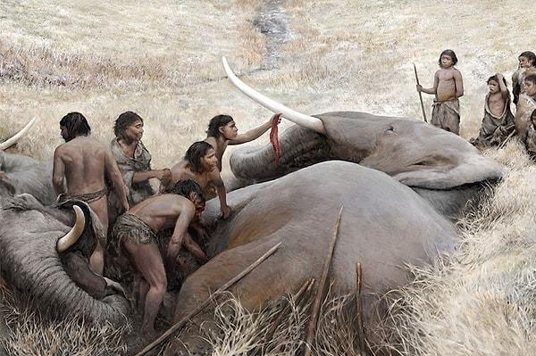 10. Neandertaller o kadar kalabalık yaşıyordu ki mamutlardan da büyük filleri avlayıp yiyebiliyorlardı.