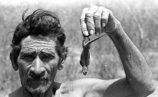 9. Açlıktan ölmemek için kertenkele yemek zorunda kalan bir çiftçi. (1983)