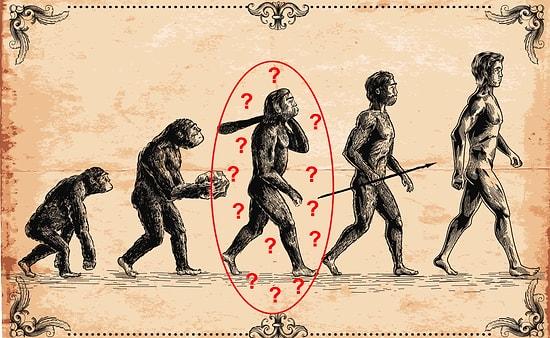 Why Haven't All Primates Evolved Into Humans?