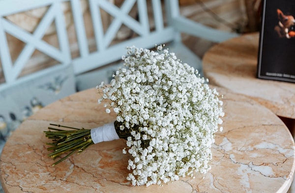 14. Как называются эти цветы?