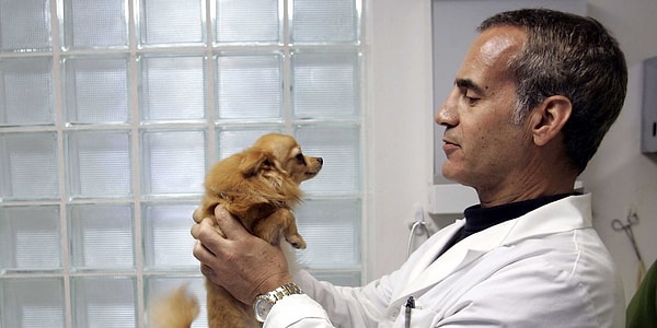 14. Какую необычную профессию вы бы выбрали?