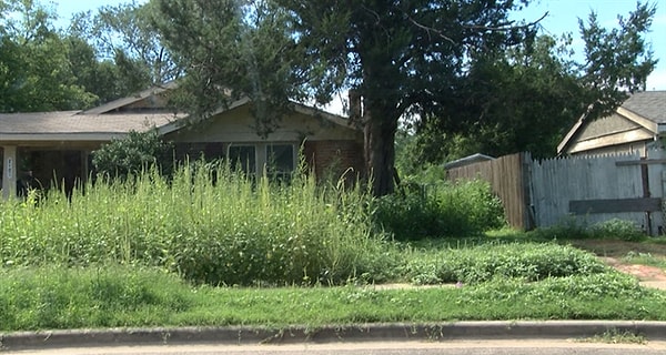 7. Трава на даче стала выше вас. Ваши действия?