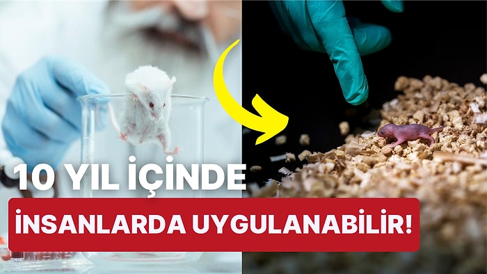 Sıra İnsanlarda: İki Erkek Biyolojik Olarak Çocuk Sahibi Olabilecek!