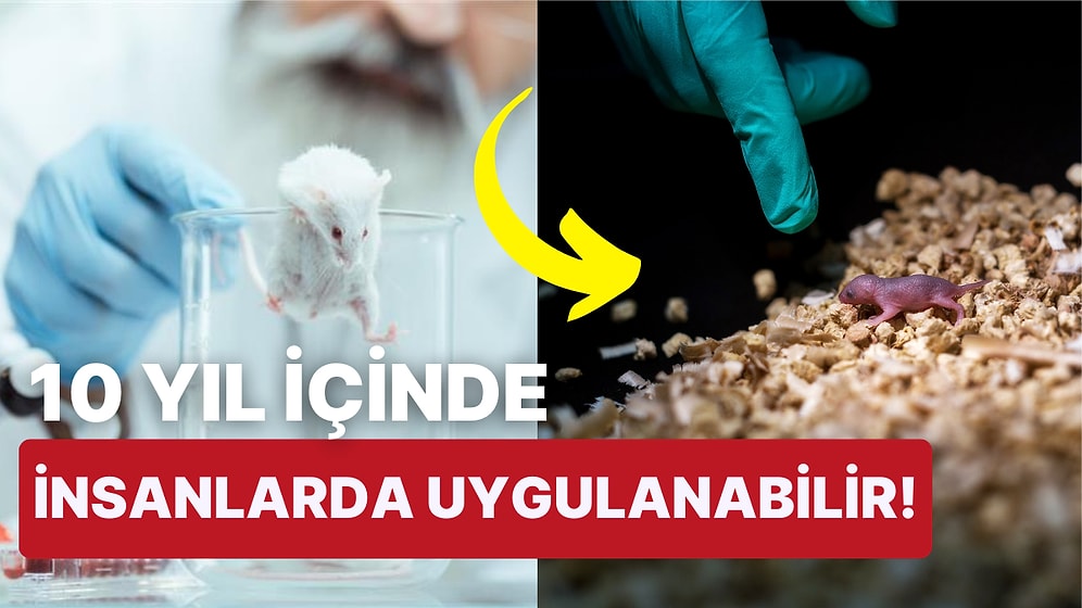 Sıra İnsanlarda: İki Erkek Biyolojik Olarak Çocuk Sahibi Olabilecek!