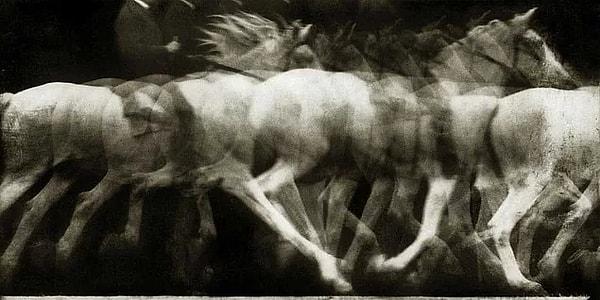 Duchamp was very impressed by this photo of Étienne-Jules Marey.
