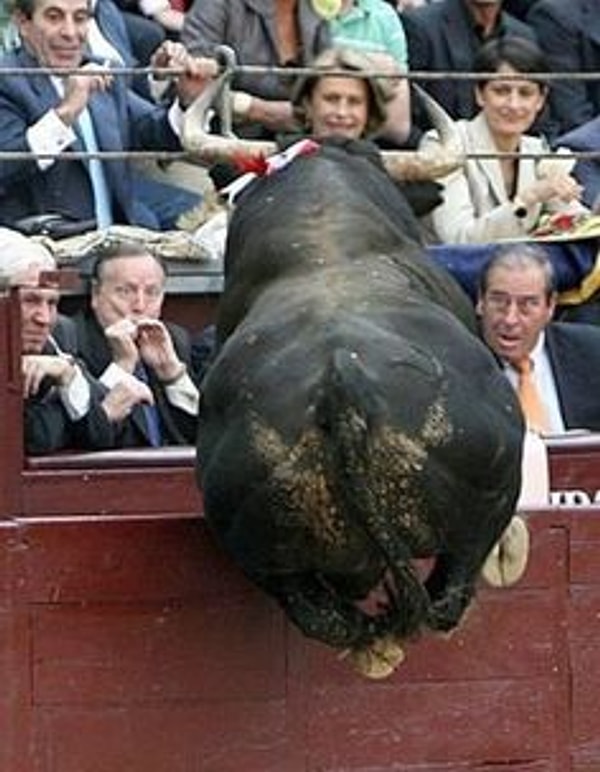 6. Вы только посмотрите на эти лица!