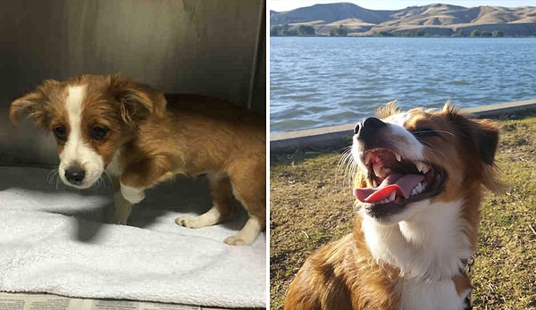 9. До и после