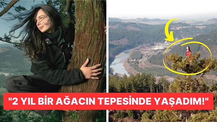 1500 Yıllık Ağaç Kesilmesin Diye Yağmur Çamur Demeden 2 Yıl Boyunca O Ağaçta Yaşayan Julia Butterfly Hill