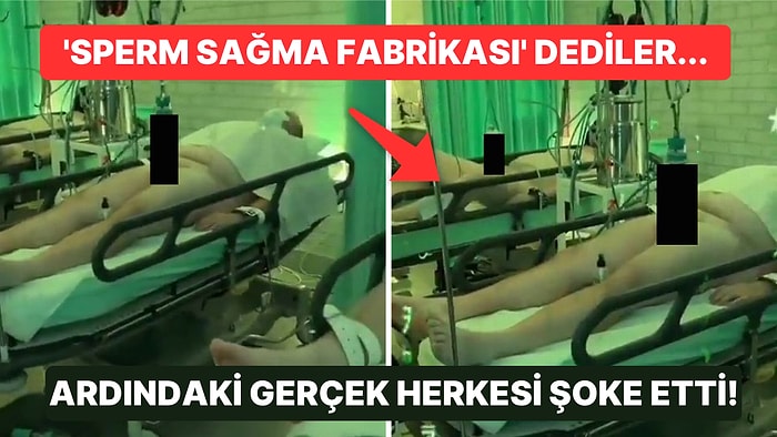 Sperm Sağma Fabrikasında Çekildiği İddia Edilen Görüntülerin Ardındaki Gerçek İnfial Yarattı!