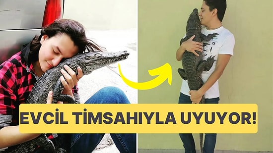 Bildiğiniz Tüm Evcil Hayvanları Unutun: Sahibiyle Uyuyan Evcil Timsah Görenleri Şaşkına Çeviriyor