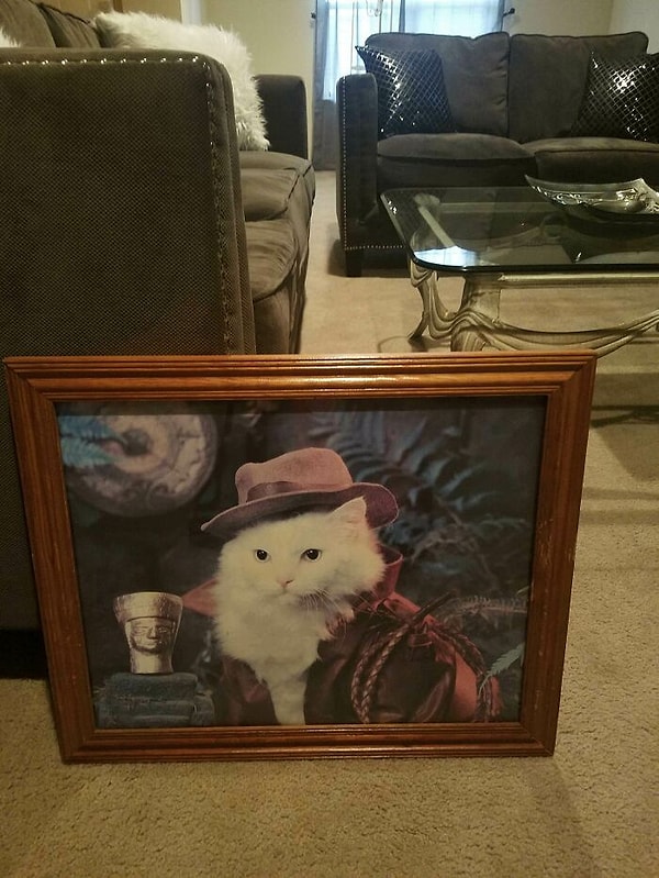 9. Художественный вкус – отдельная странная тема в этой подборке!