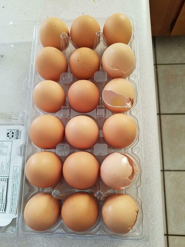 9. "Eşim yumurta kabuklarını çöpe atmak yerine bu şekilde kutusuna geri koyuyor."