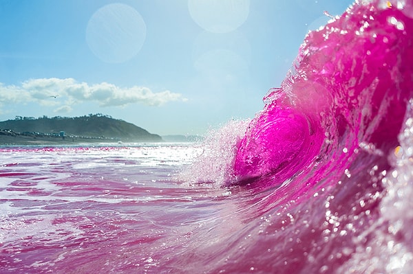 5. Какой океан имеет наибольшую площадь?