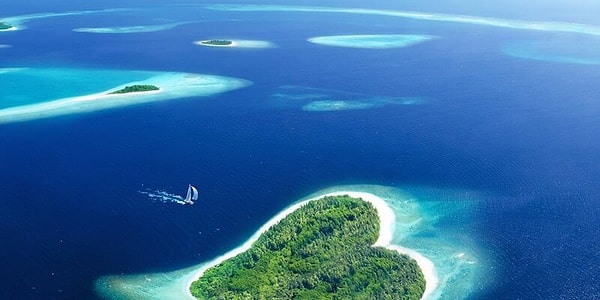 10. Сколько процентов водной поверхности Земли покрывает Индийский океан?