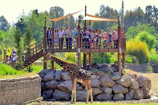 1.	Explore the Wildlife Park