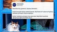 Gerçek Kökenlerini Öğrenince Ufkunuzu Açıp Etimolojiye Aşık Olmanızı Sağlayacak 15 Harika Kelime