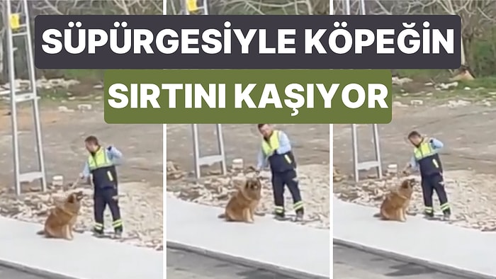 Bir Belediye Personeli ile Sokak Köpeğinin Kalplerinizi Isıtacak Dostluğu