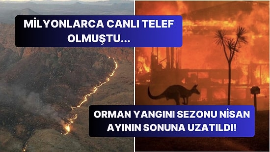 Avustralya'da Çıkan Yangın Felaketi Büyümeye Devam Ediyor: 100 Bin Hektarlık Alan Kül Oldu