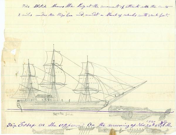 8. Balina avlama teknesi Essex, 1820 yılında 26 metrelik bir ispermeçet balinası tarafından saldırıya uğramış ve 7 kişi hayatını kaybetmişti.