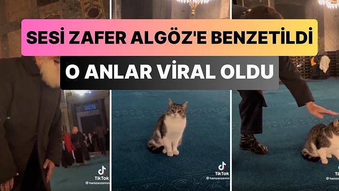 Ayasofya'daki Kediyi Seven Zafer Algöz Sesli Dayının Viral Olan Görüntüleri: 'Yaradan Kurban Olayım'