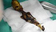 Раскрыта грустная правда о загадочной 15-сантиметровой мумии, которую считали инопланетянином